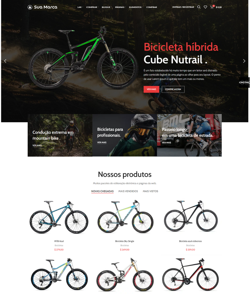 Demo Bike